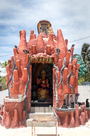 IMG 9936