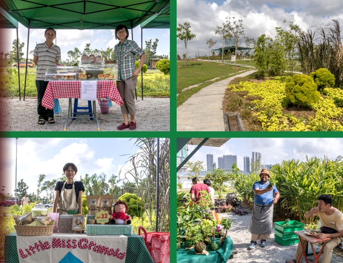 Screenshot 2020-11-24 at 4.04.23 PM