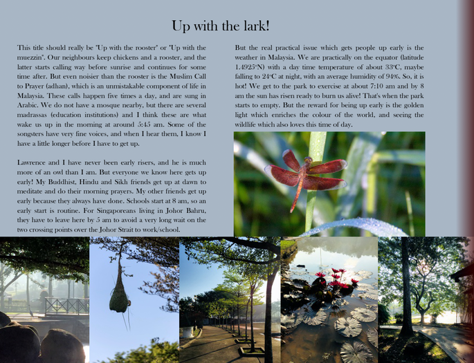 Screenshot 2020-11-24 at 4.06.53 PM