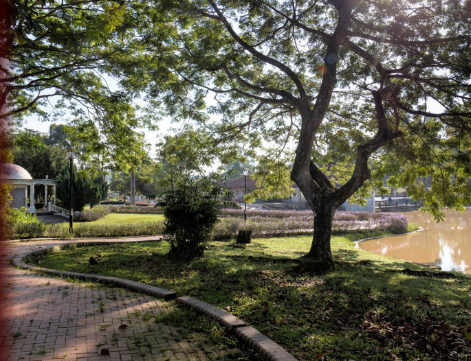 Screenshot 2020-11-24 at 4.07.45 PM