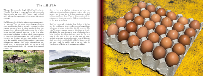 Screenshot 2020-11-24 at 4.10.07 PM