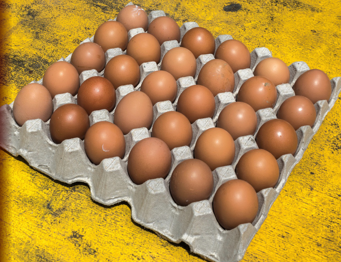 Screenshot 2020-11-24 at 4.10.28 PM