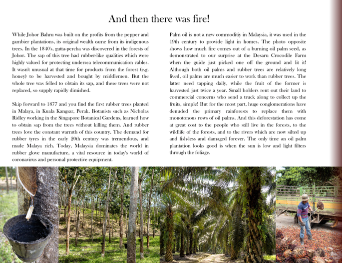 Screenshot 2020-11-24 at 4.13.43 PM