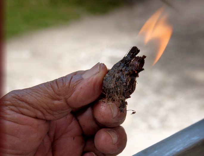 Screenshot 2020-11-24 at 4.13.54 PM