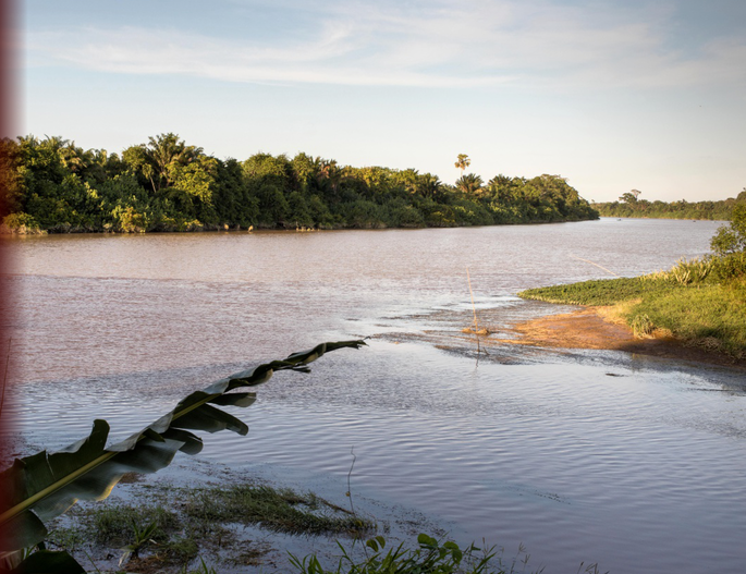 Screenshot 2020-11-24 at 3.34.29 PM