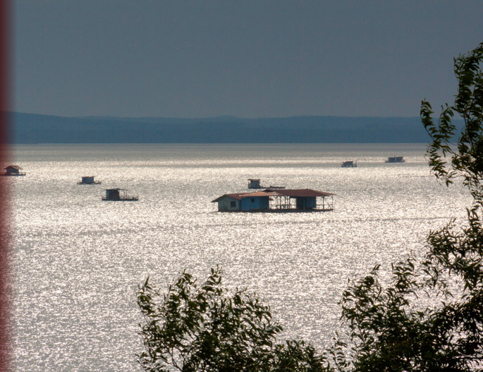 Screenshot 2020-11-24 at 3.35.12 PM