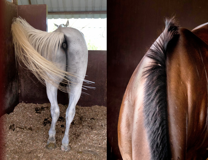 Screenshot 2020-11-24 at 3.52.24 PM