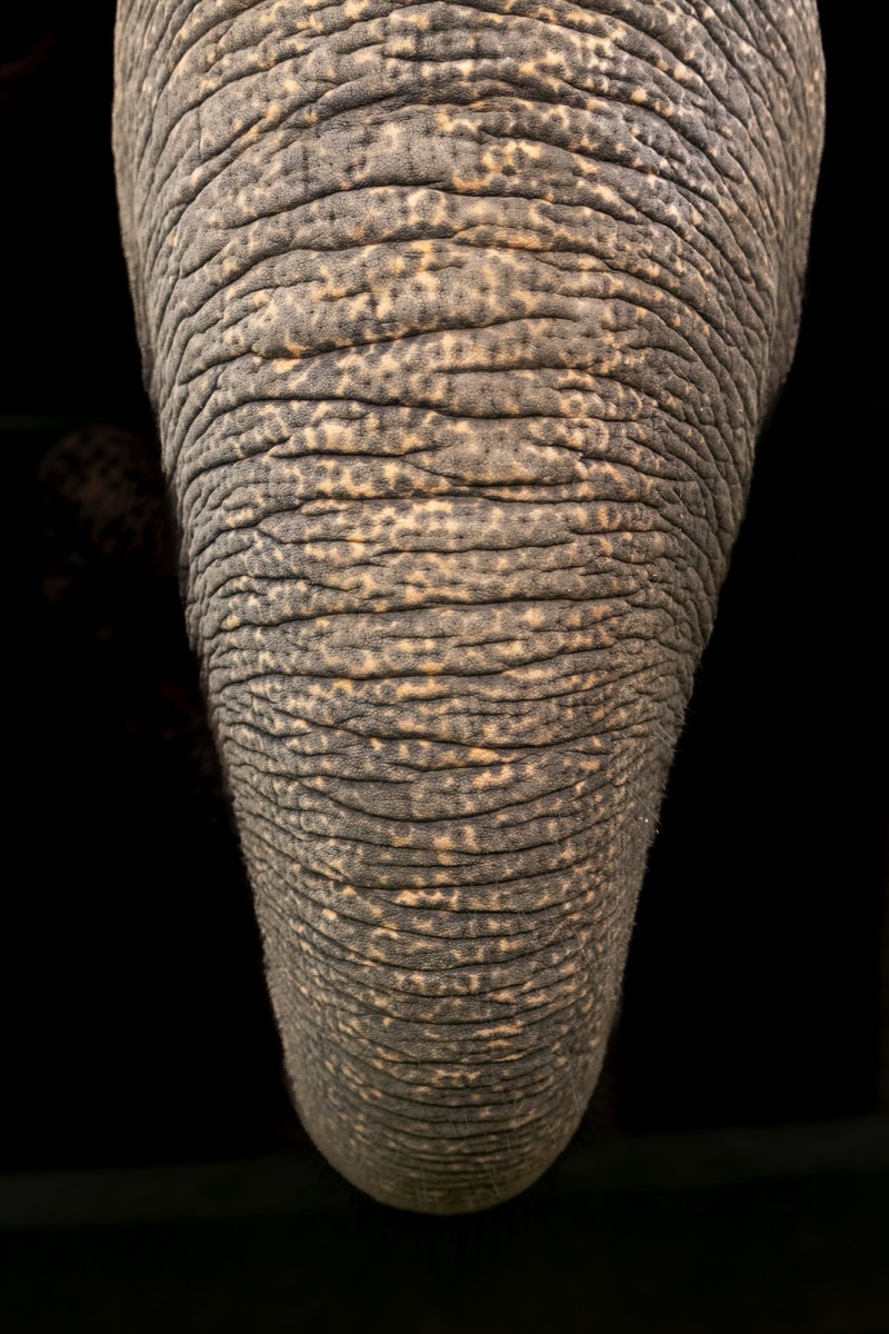 Stacks Image 1568