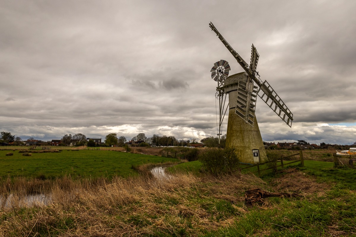 Stacks Image 1499