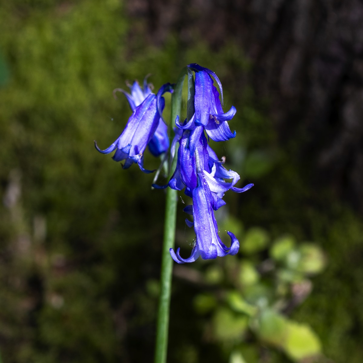 Stacks Image 1597