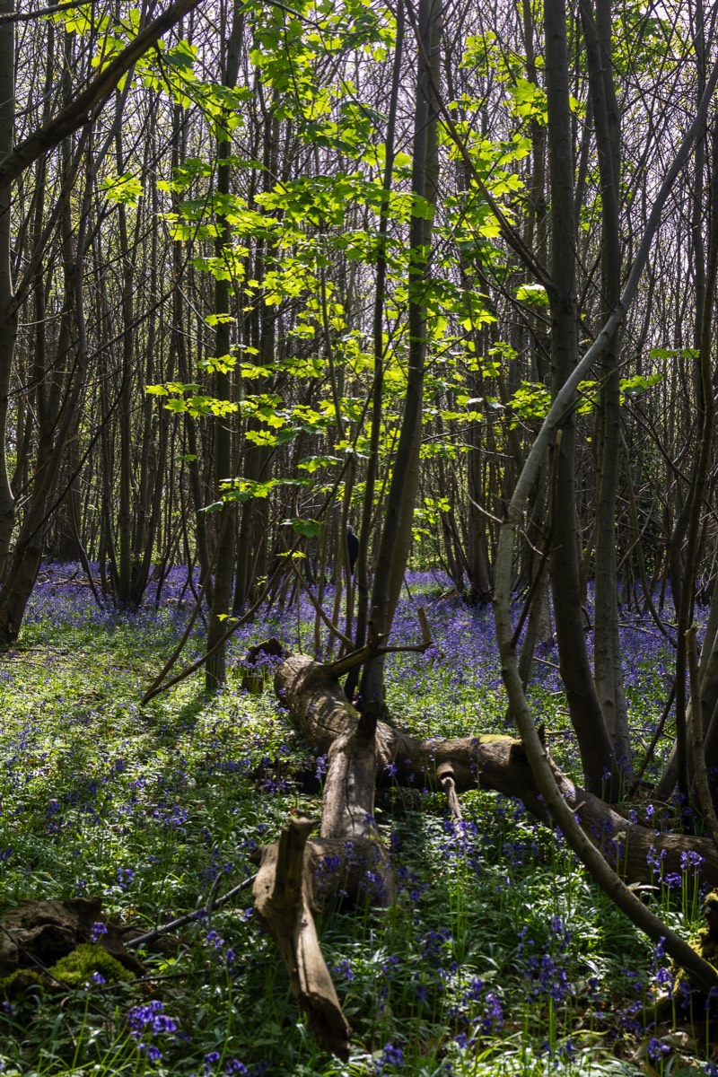 Stacks Image 1542