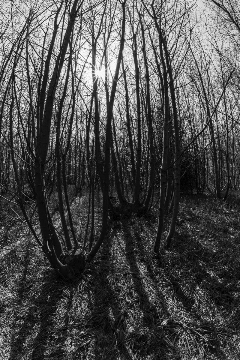 Stacks Image 1528