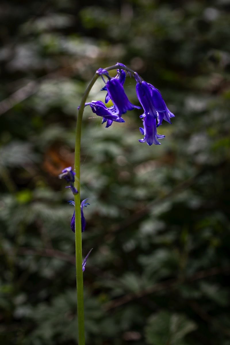 Stacks Image 1537