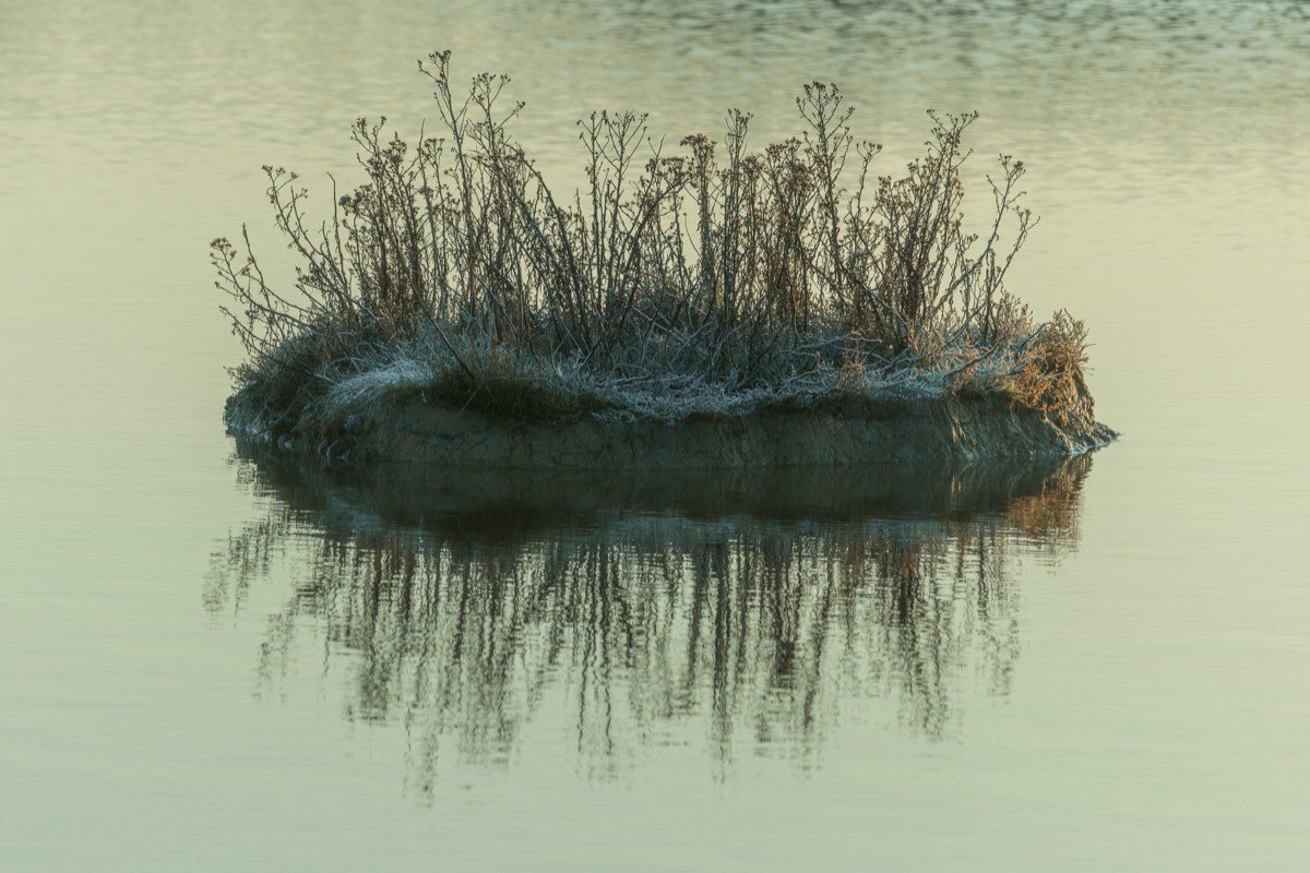 Stacks Image 1670