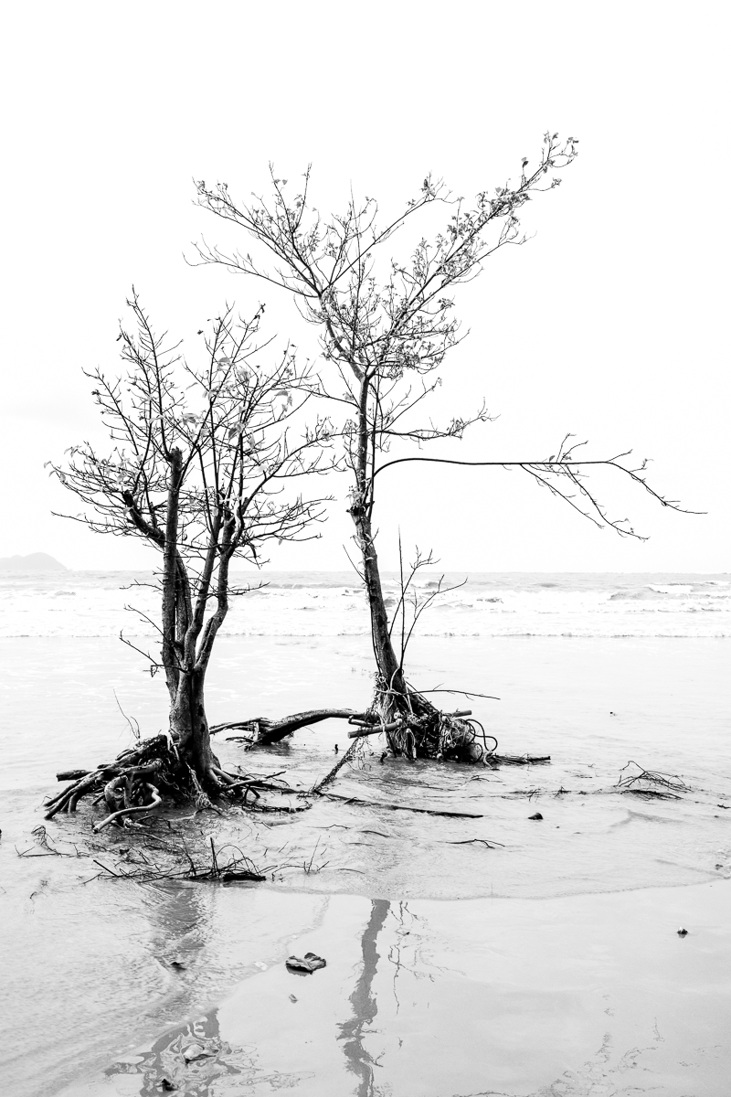 Stacks Image 1960