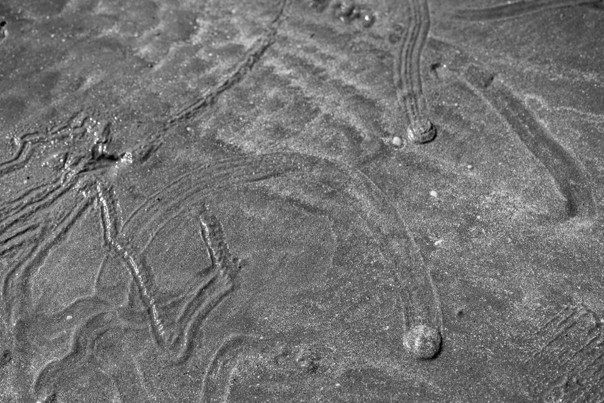 Stacks Image 1983