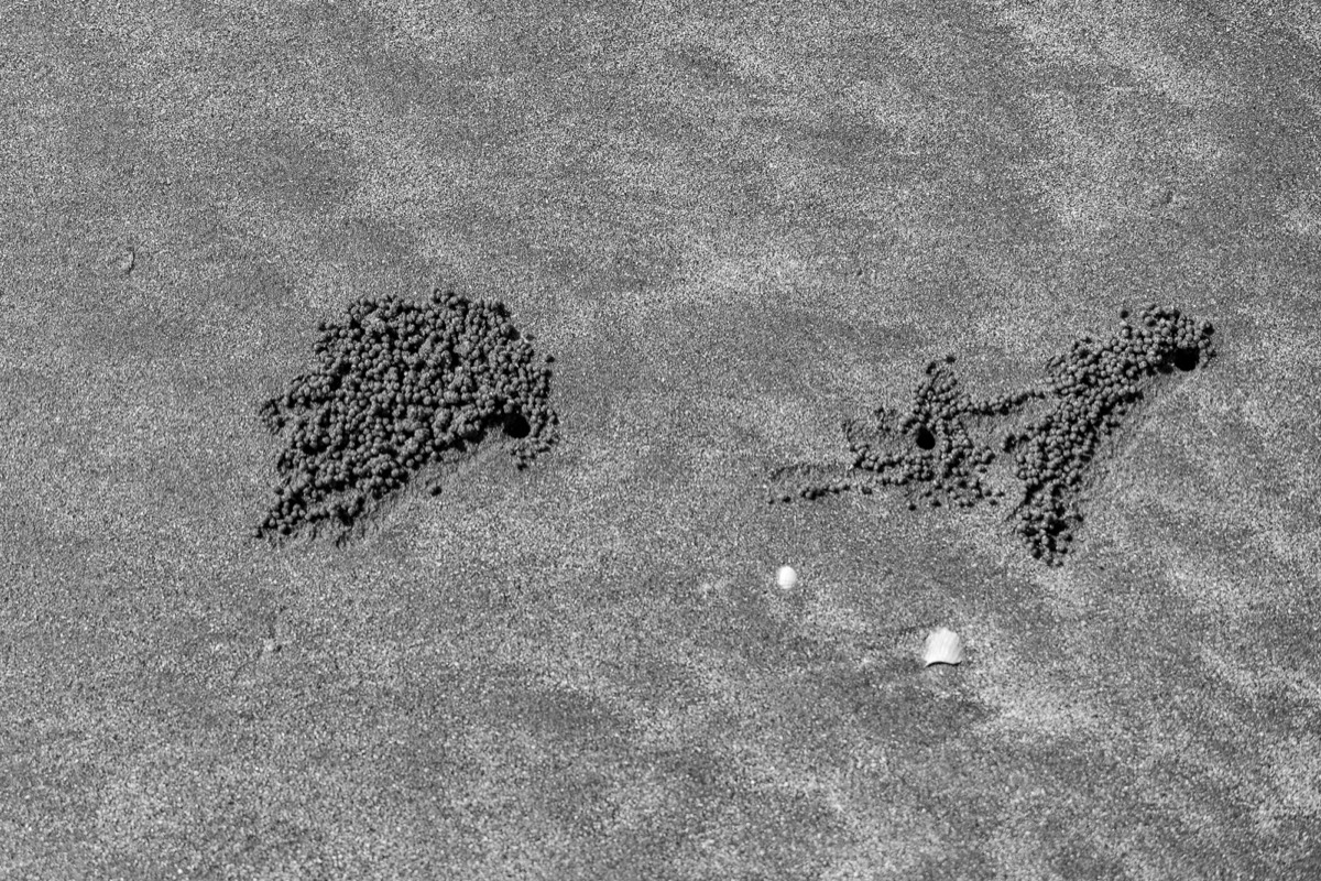 Stacks Image 1985
