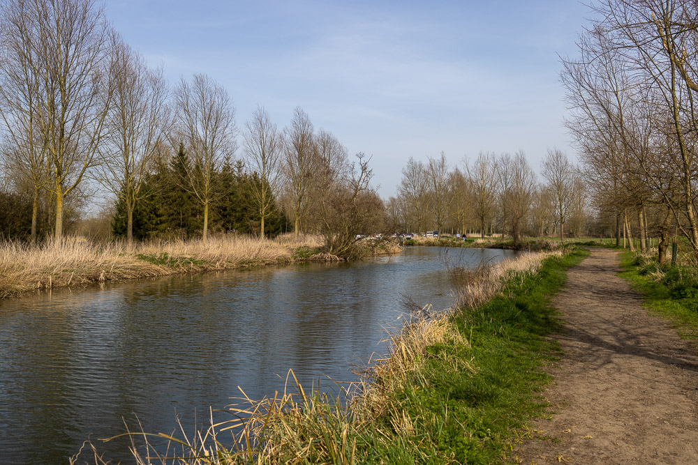 Stacks Image 145