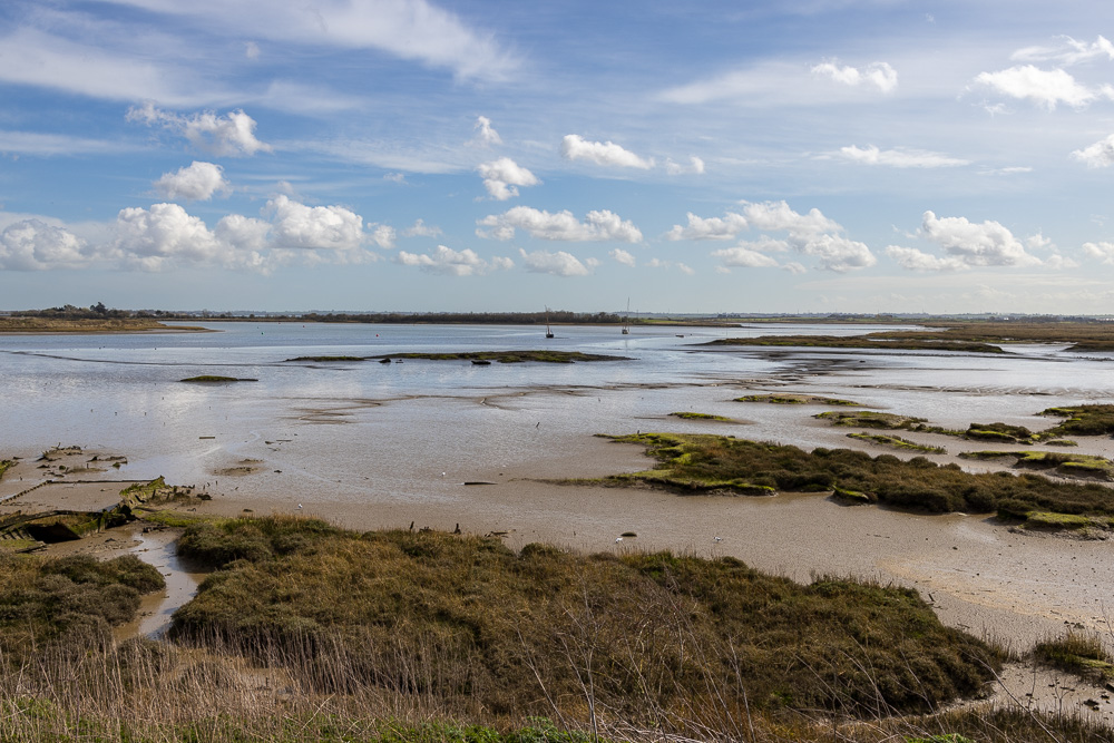 Stacks Image 179