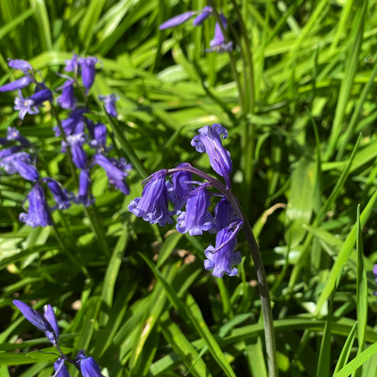 Stacks Image 179