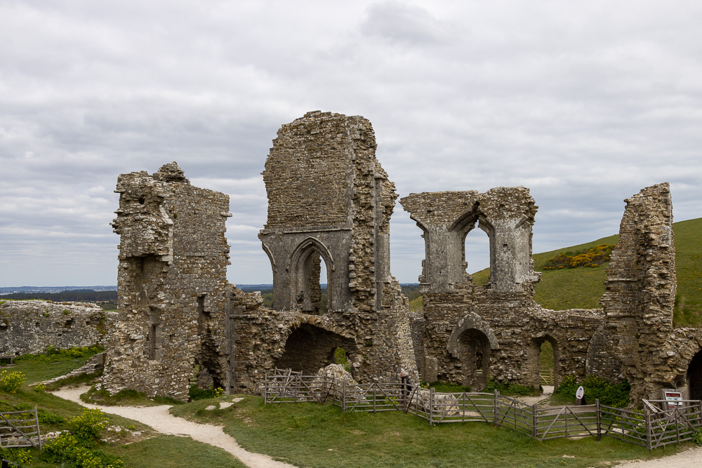Stacks Image 313