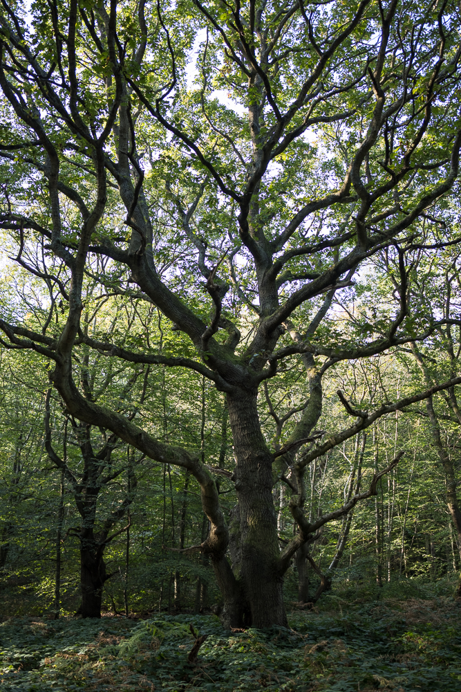 Stacks Image 221