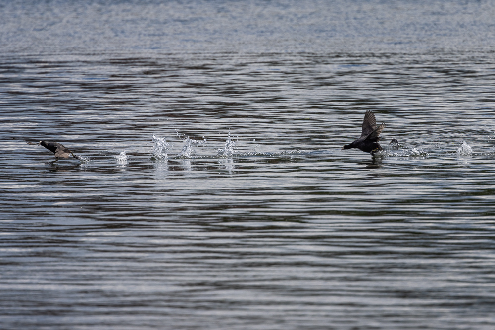 Stacks Image 495