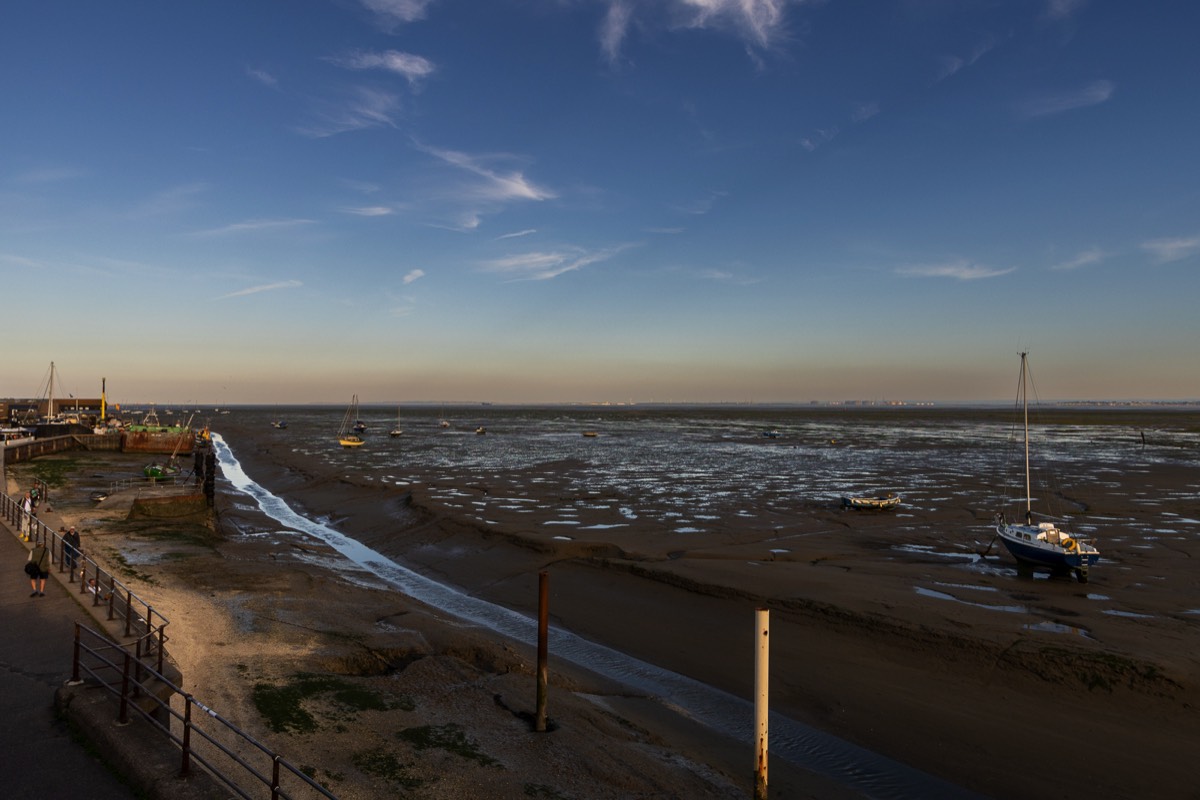Stacks Image 695