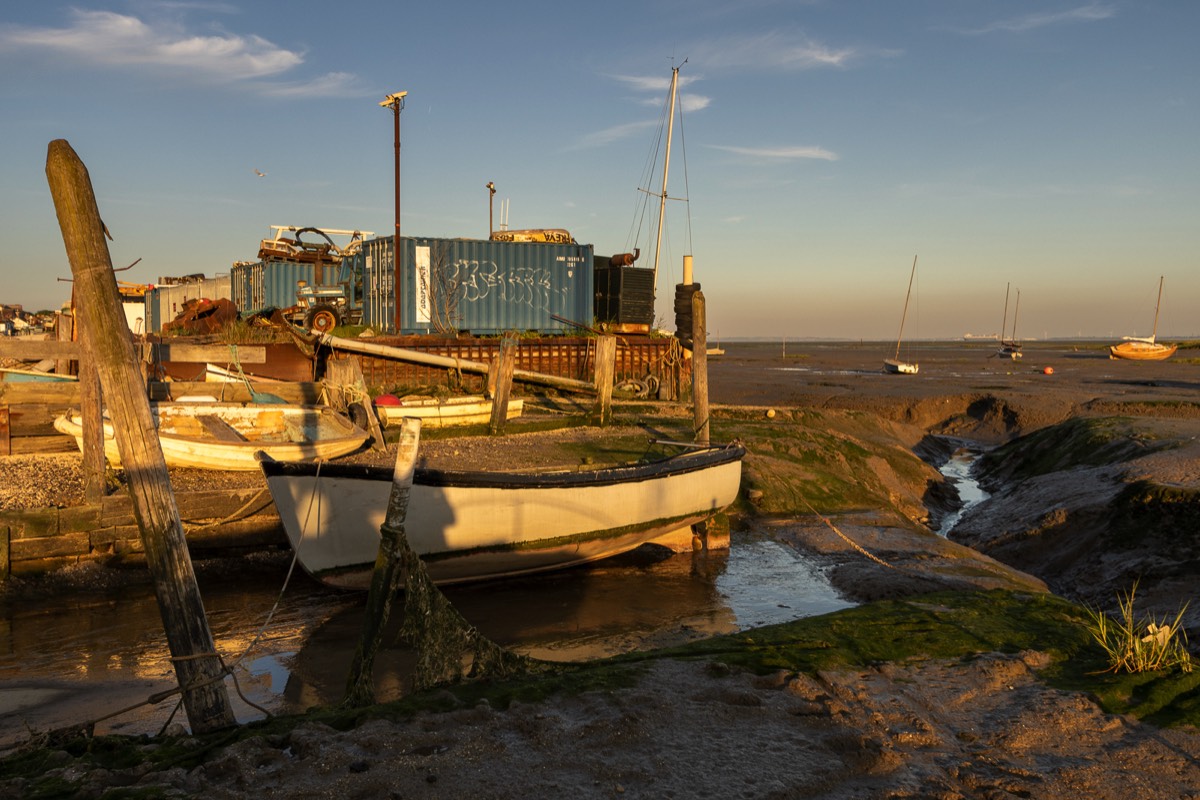 Stacks Image 716