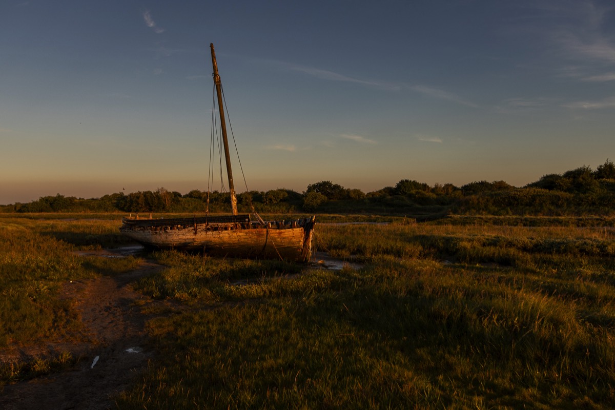 Stacks Image 735