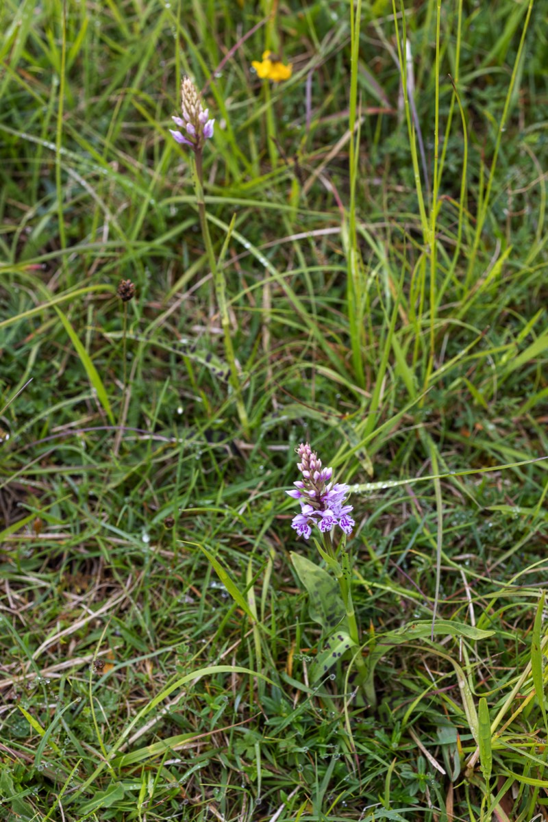 Stacks Image 771
