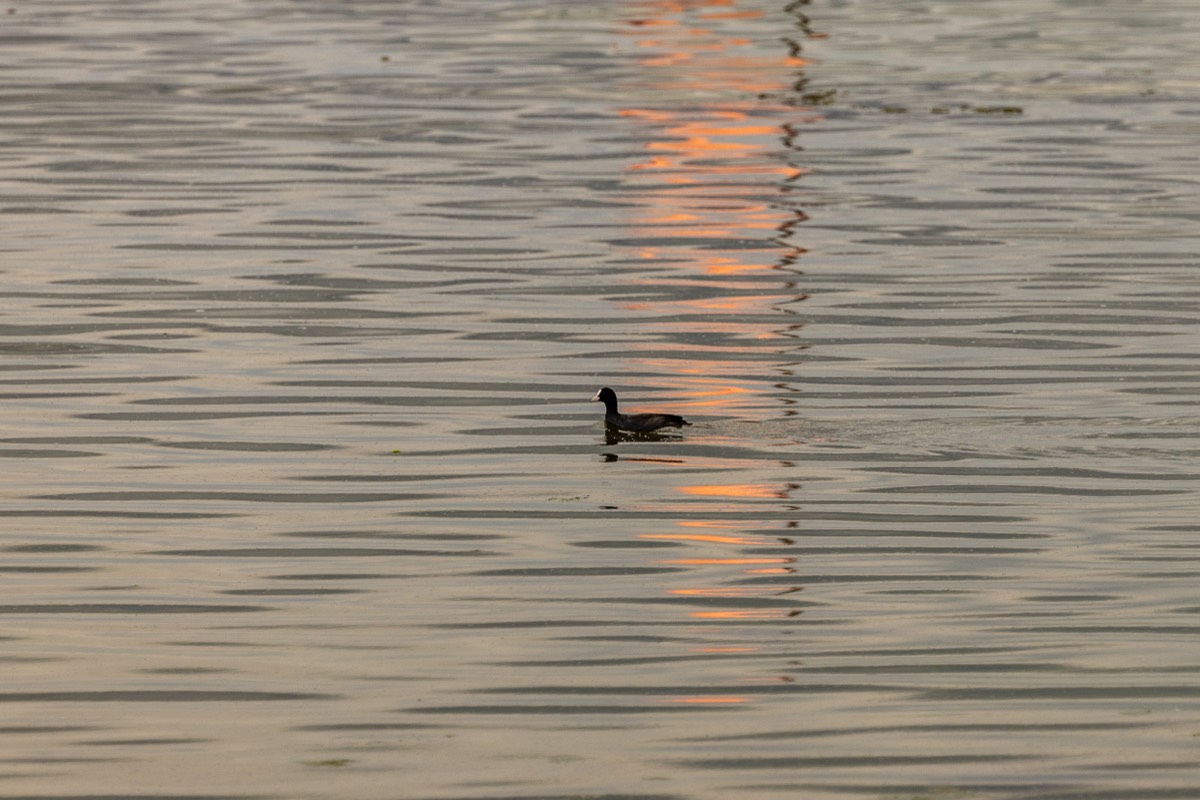 Stacks Image 739