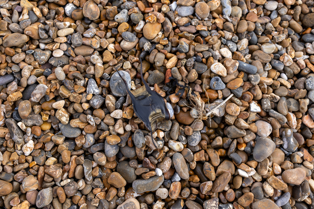Stacks Image 95