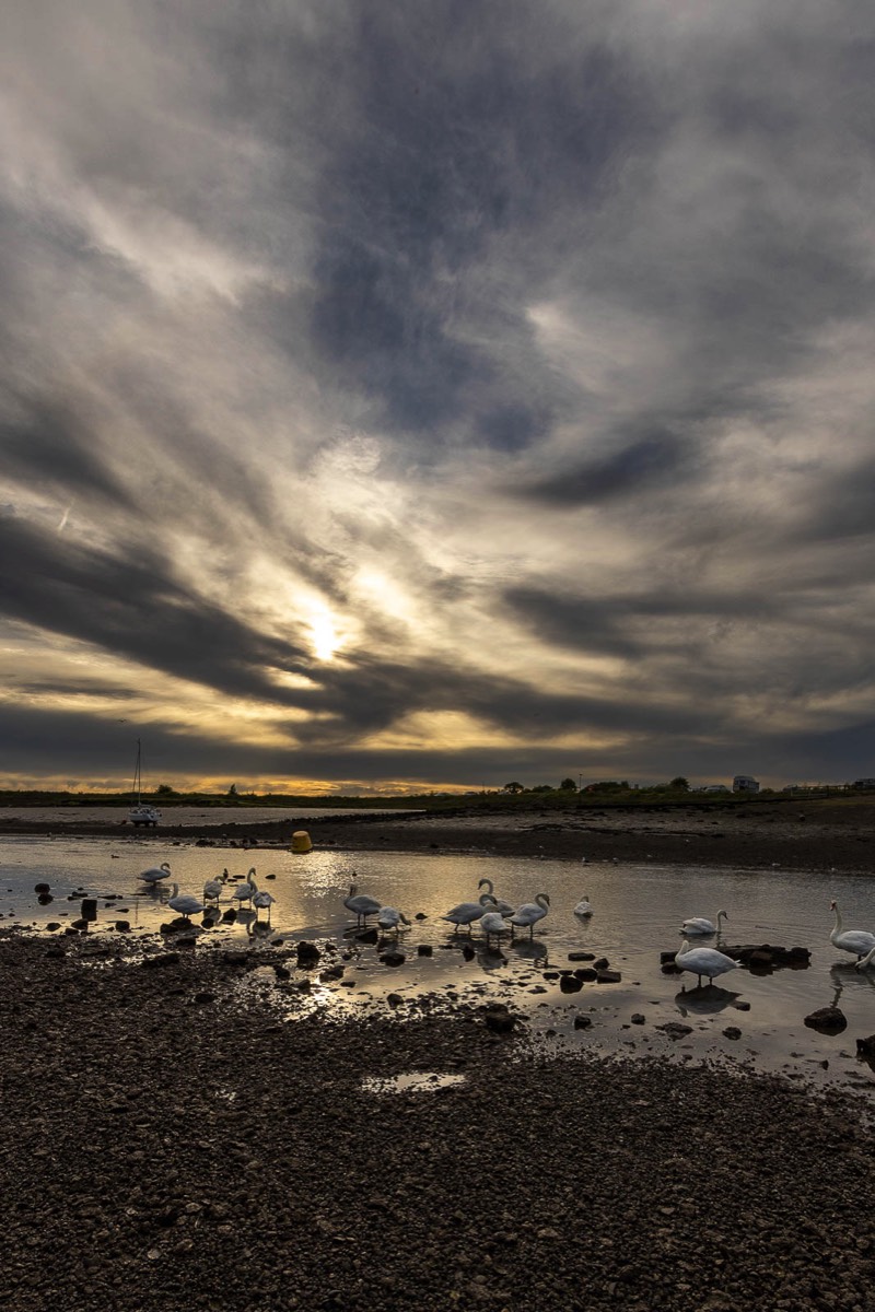 Stacks Image 842