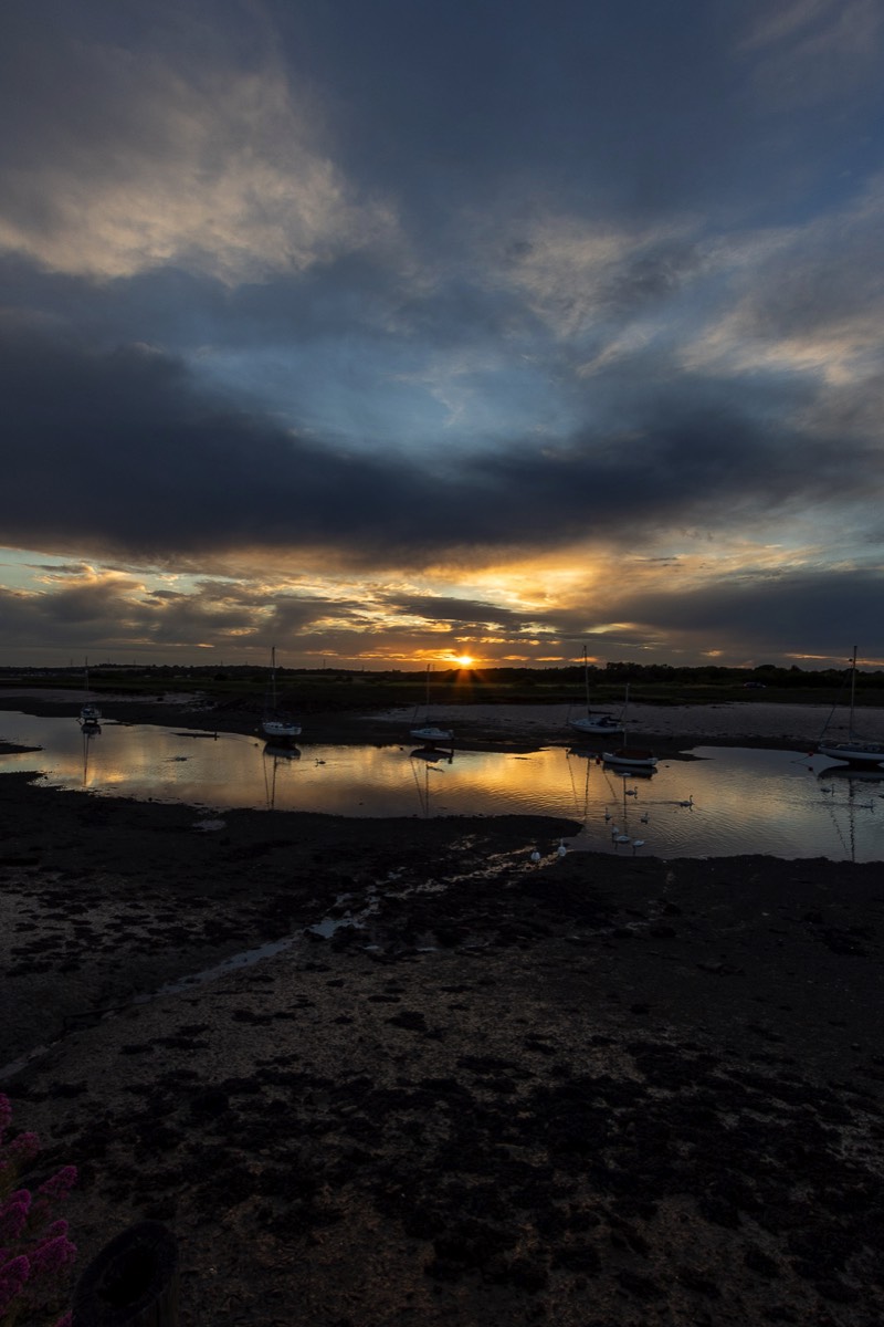 Stacks Image 930