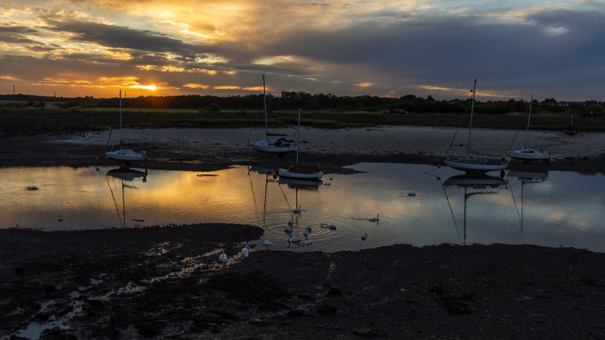 Stacks Image 928