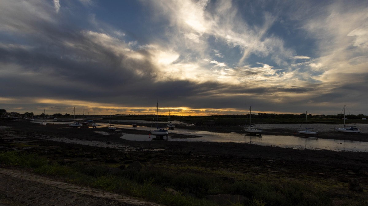 Stacks Image 907