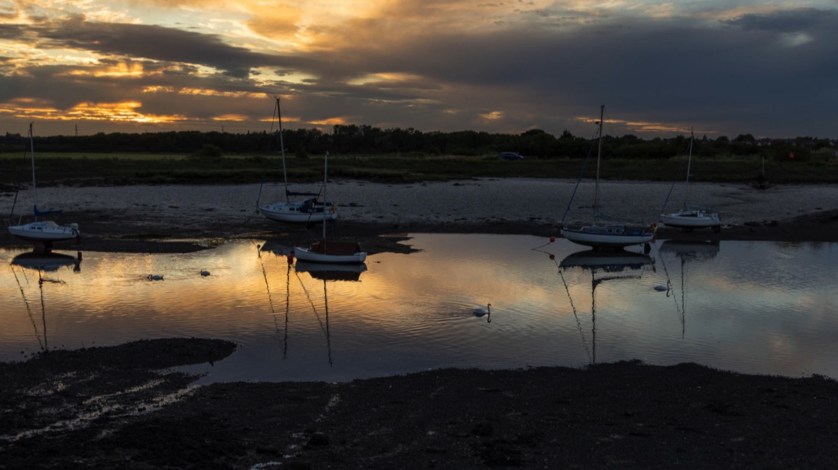 Stacks Image 855
