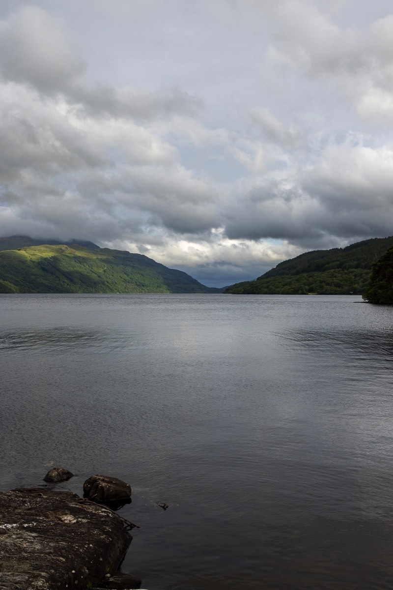 Stacks Image 1171