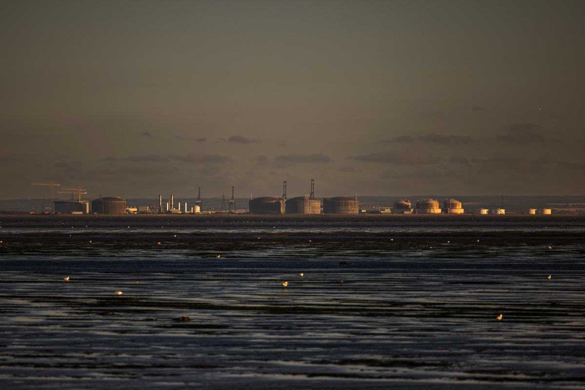 Stacks Image 1025