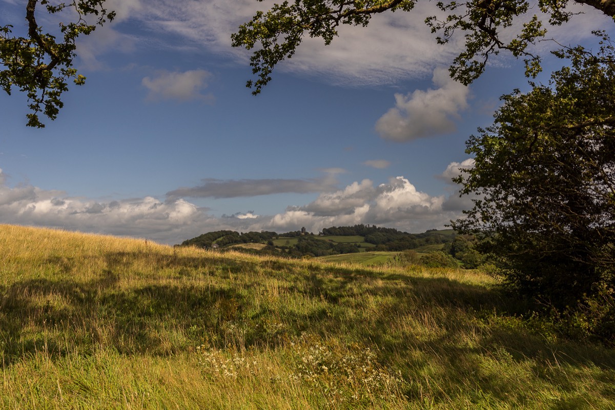 Stacks Image 1131