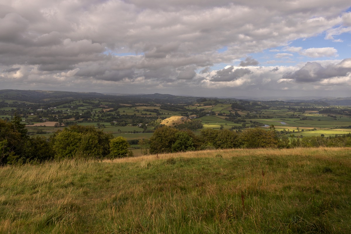 Stacks Image 1138