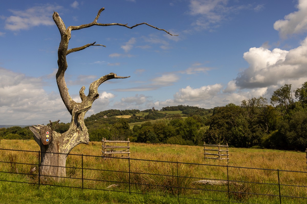 Stacks Image 1060