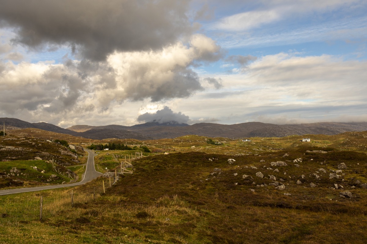 Stacks Image 1042