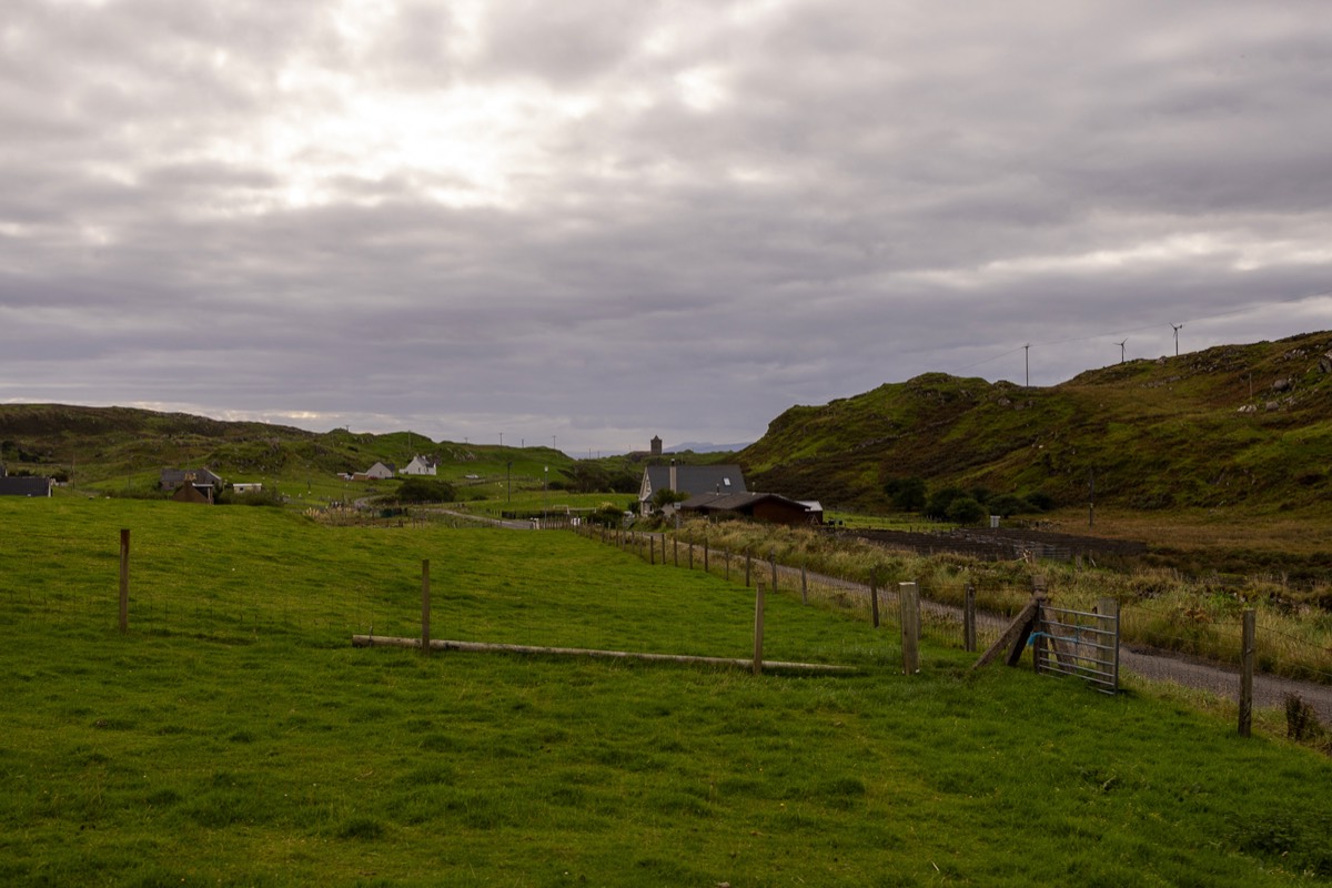 Stacks Image 1081