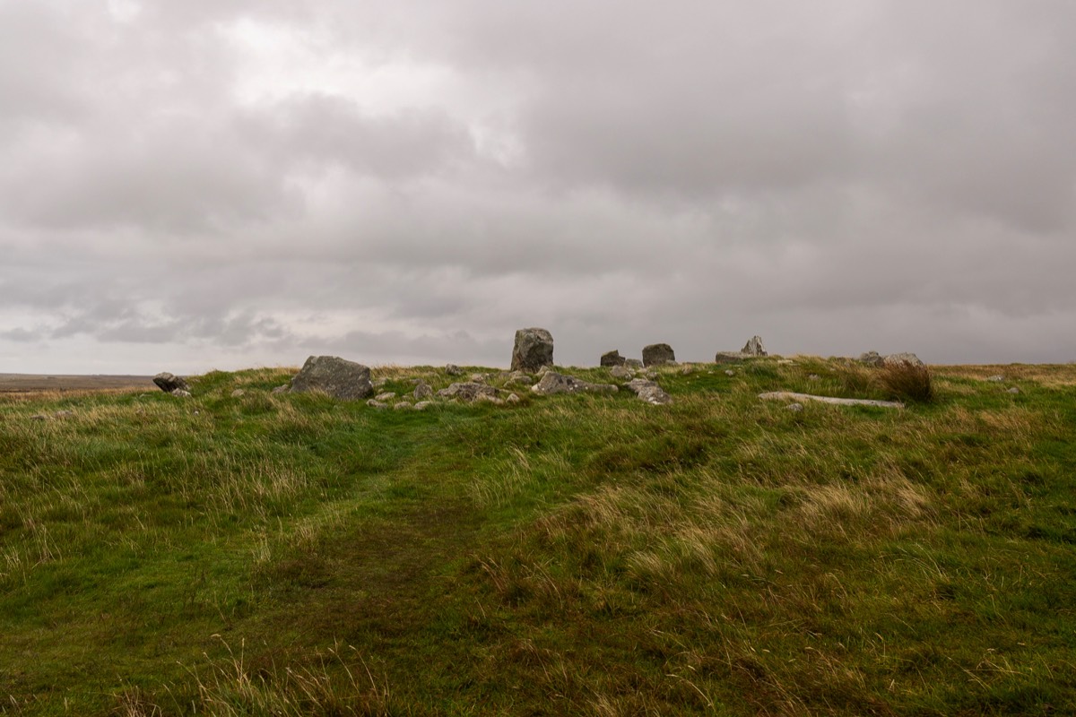 Stacks Image 1054