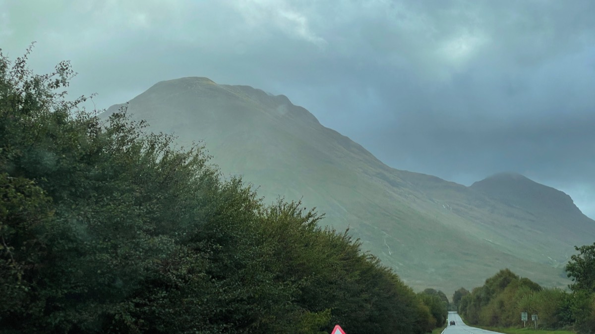Stacks Image 1111