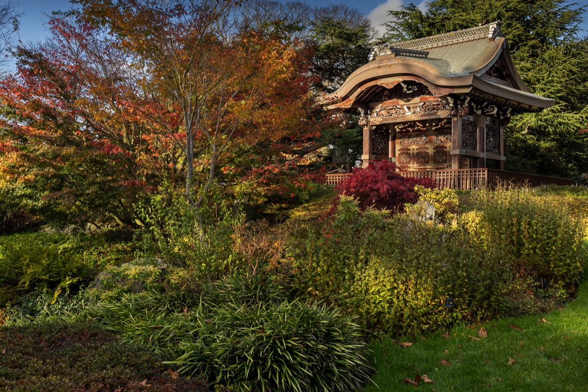 Stacks Image 996