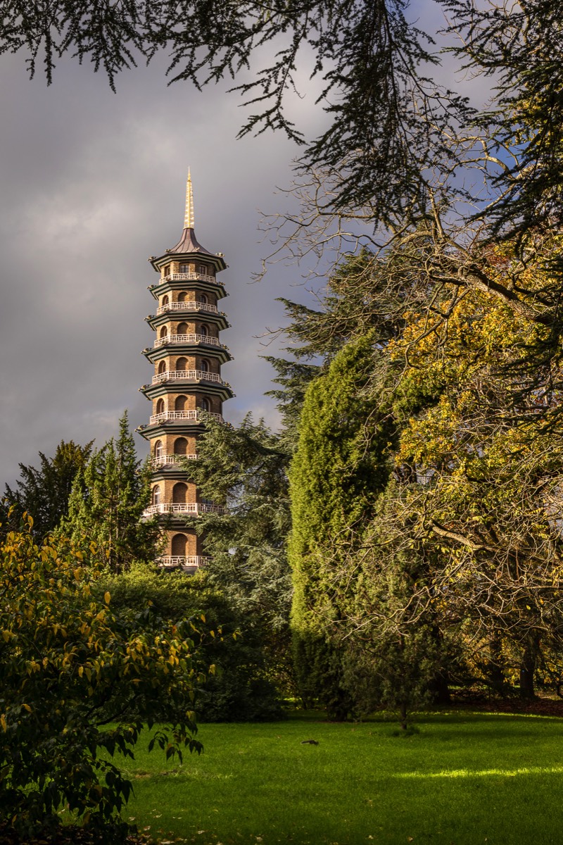 Stacks Image 1065