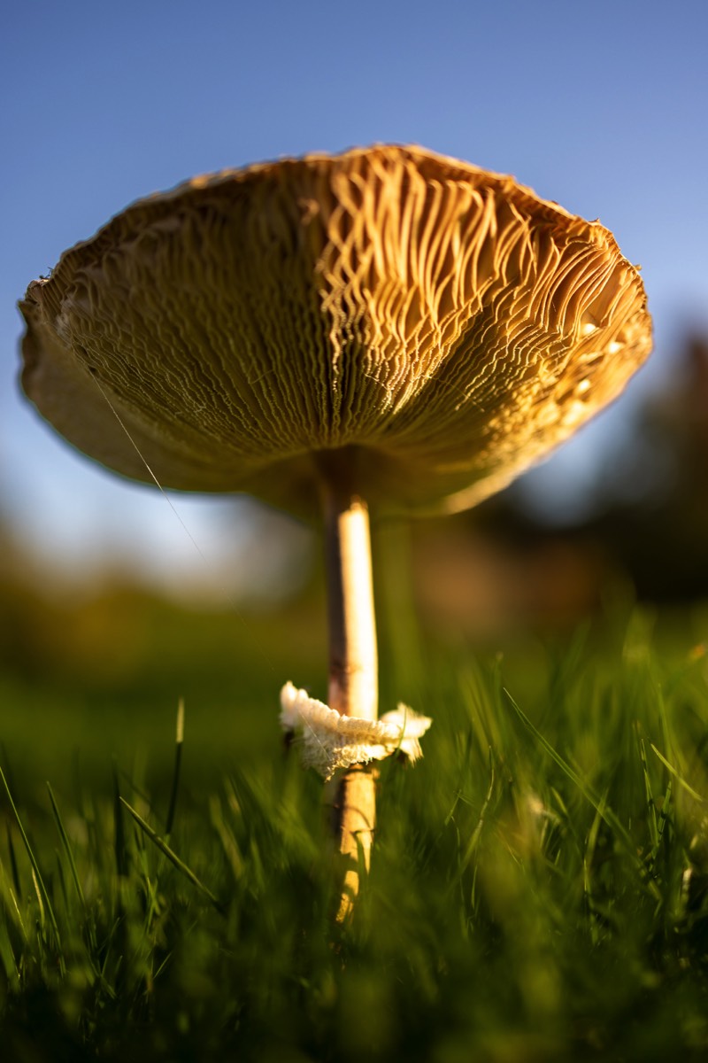 Stacks Image 1228